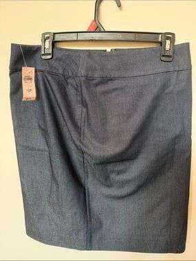 Ann Taylor cotton skirt nwt